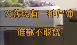 火葬场最新爆料,最新爆料揭示不为人知的背后真相