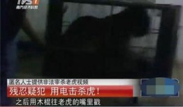 屠宰最新爆料视频大全集,屠宰行业内幕大揭秘视频全集深度解析