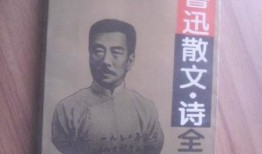 鲁迅爆料文章大全最新,揭秘文坛风云，探寻大师内心世界